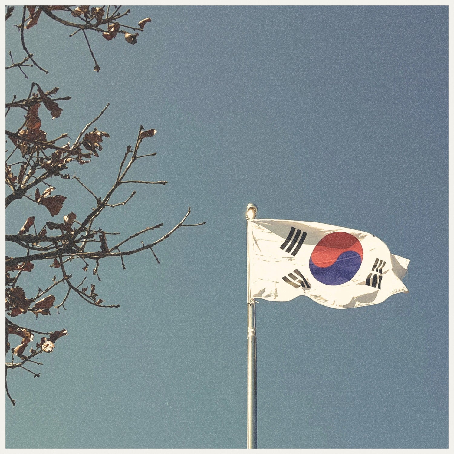 The South Korean flag.