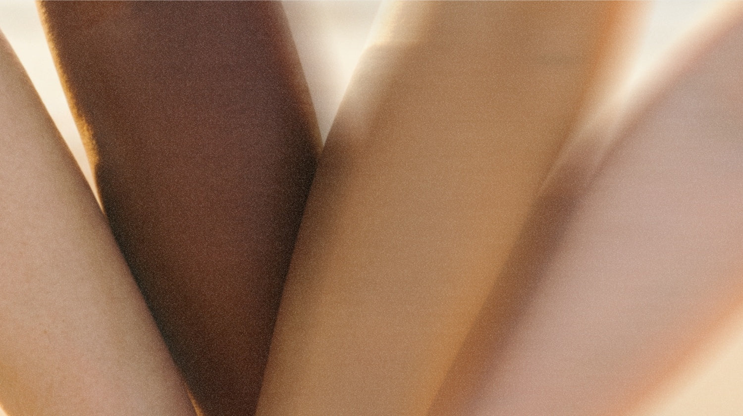 A close warm view of skin tones meeting, soft light.